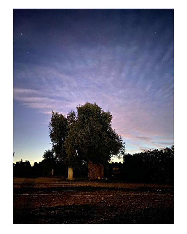 Masseria Conca D'Oro Ostuni Zewnętrze zdjęcie