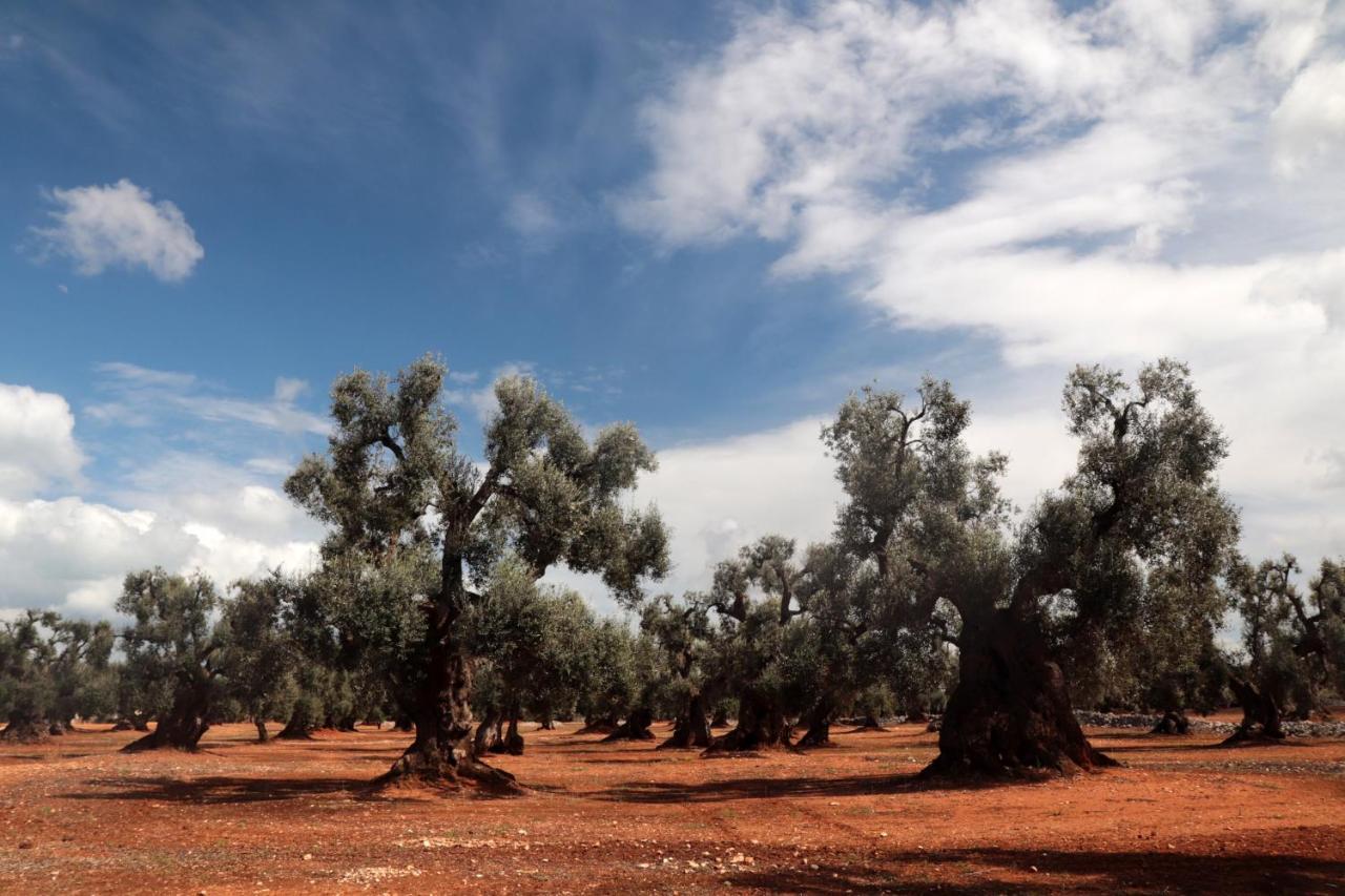 Masseria Conca D'Oro Ostuni Zewnętrze zdjęcie