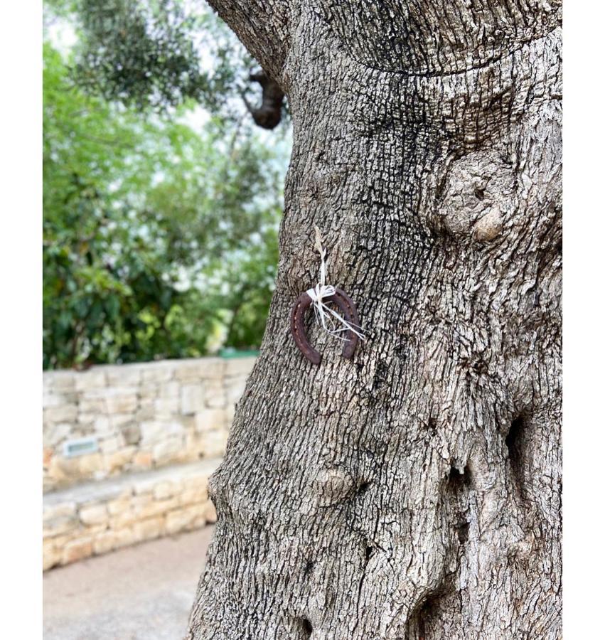 Masseria Conca D'Oro Ostuni Zewnętrze zdjęcie