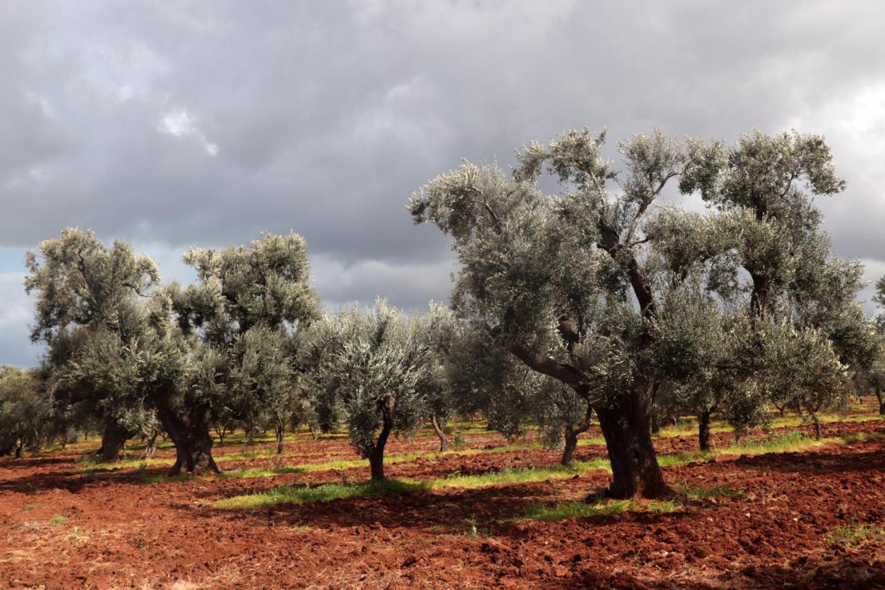 Masseria Conca D'Oro Ostuni Zewnętrze zdjęcie