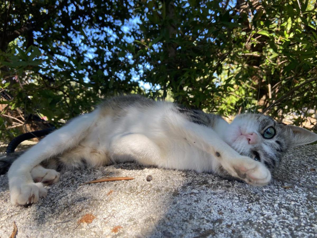 Masseria Conca D'Oro Ostuni Zewnętrze zdjęcie