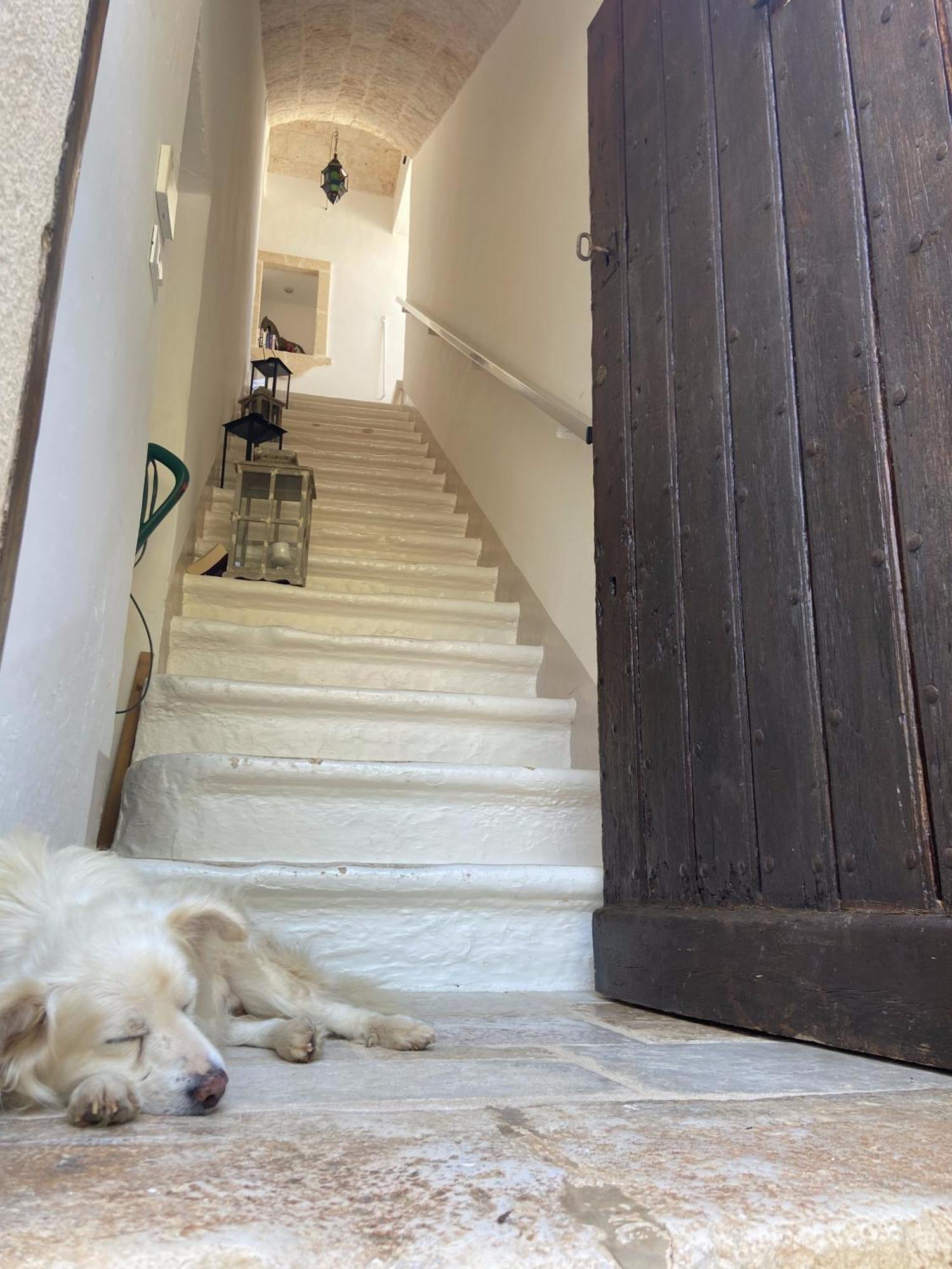 Masseria Conca D'Oro Ostuni Zewnętrze zdjęcie